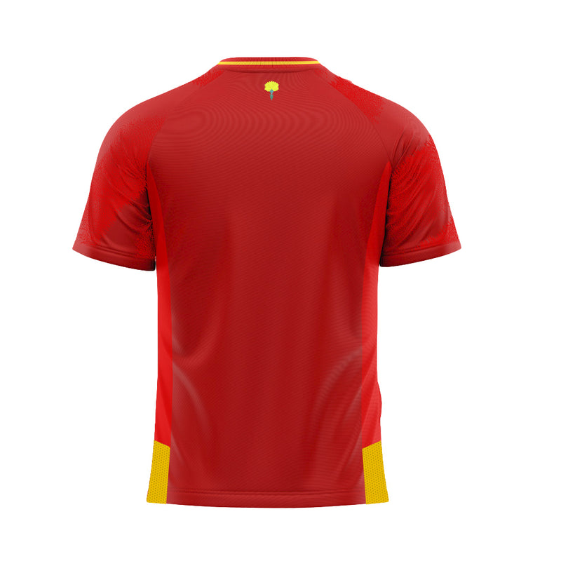 CAMISETA 1ª EQUIPACIÓN RFEF